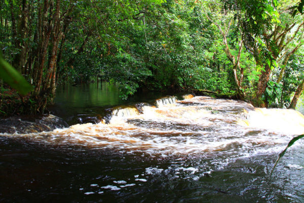 Amazon Waterfalls Presidente Figueiredo