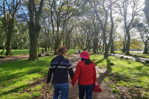 Auckland Nature Tour