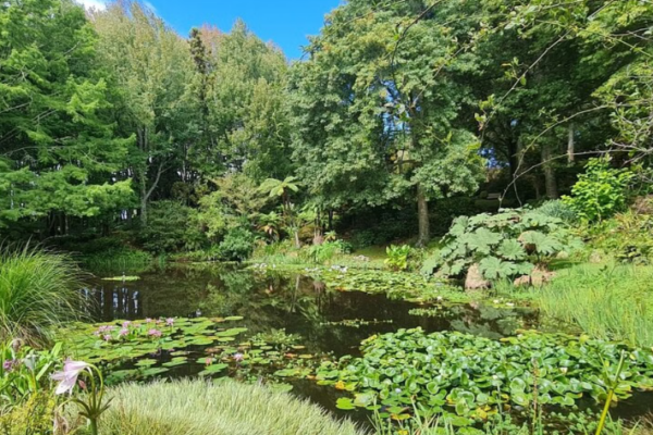 Auckland Nature Tour