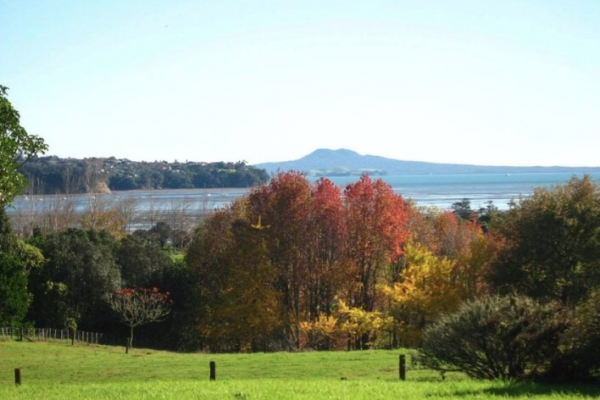 Auckland Nature Tour