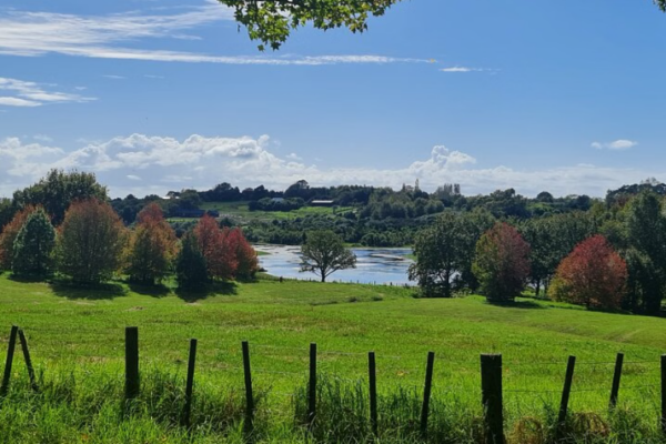 Auckland Nature Tour