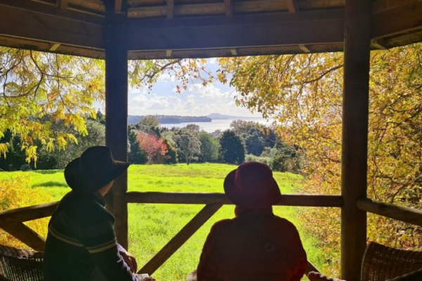 Auckland Nature Tour