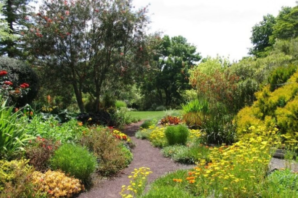 Auckland Nature Tour