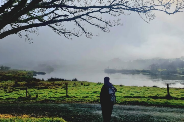 Auckland Nature Tour