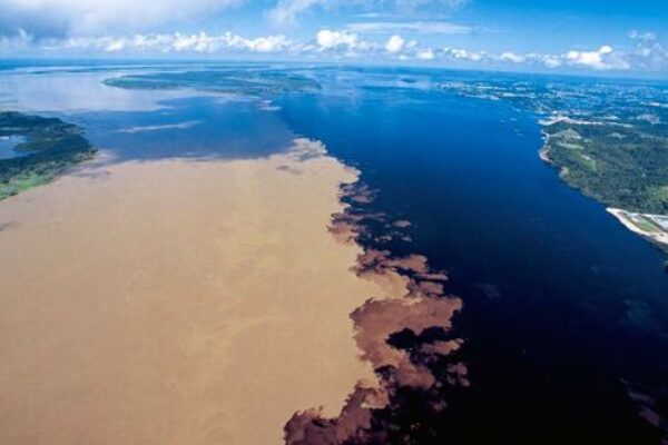 Combo Tour: SWIMMING WITH BOTOS + INDIGENOUS VILLAGE + MEETING OF THE WATERS