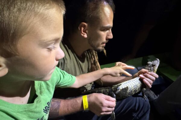 Piranha Fishing and Alligator (Cayman) Watching