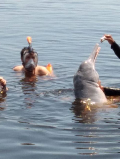 Combo Tour: SWIMMING WITH BOTOS + INDIGENOUS VILLAGE + MEETING OF THE WATERS