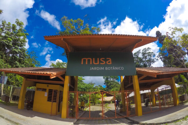 MUSA – Amazonian Museum Including Observation Tower and Guided Tour