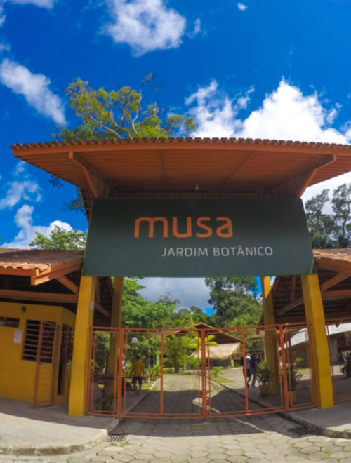 MUSA – Amazonian Museum Including Observation Tower and Guided Tour