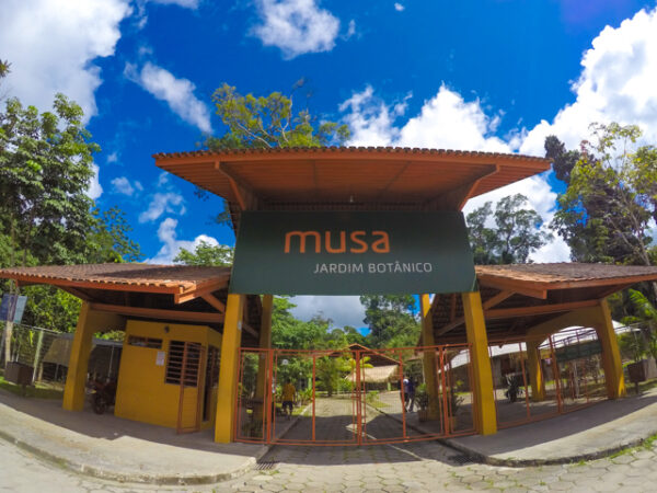 MUSA – Amazonian Museum Including Observation Tower and Guided Tour