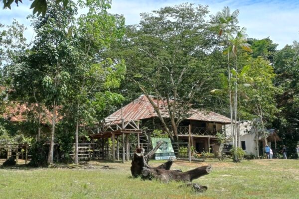 Vila Paraiso Rubber Plantation Museum