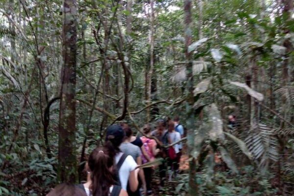 Jungle Grand Adventure Tour 4 days and 3 nights