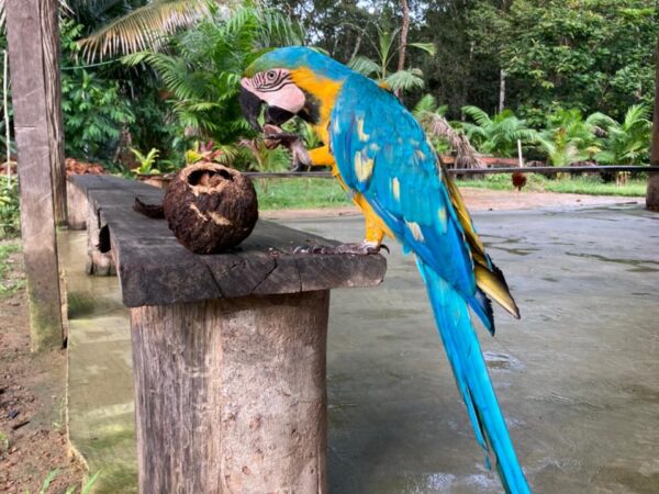 Jungle Grand Adventure Tour 4 days and 3 nights