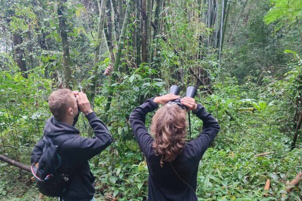 2 Day Gibbon, Wildlife and Cultural Adventure
