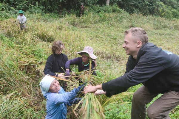 3 day Wild Gibbon and Cultural Adventure