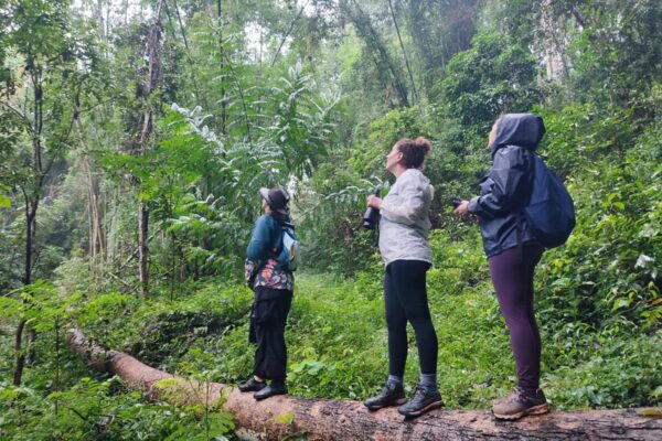 2 Day Gibbon, Wildlife and Cultural Adventure