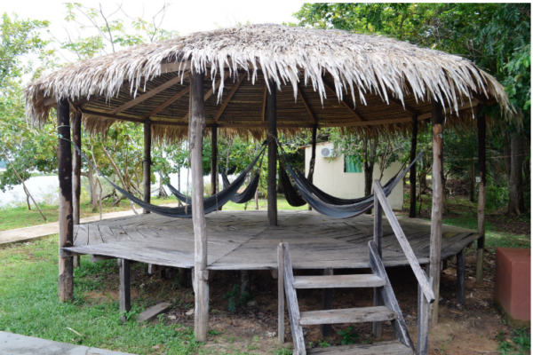 Jungle Adventure Tour [3 days and 2 nights ]