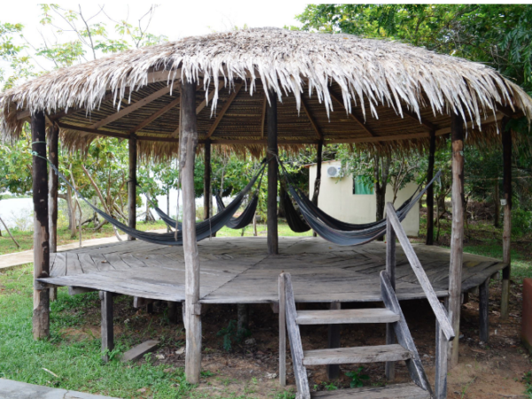 Jungle Adventure Tour [3 days and 2 nights ]