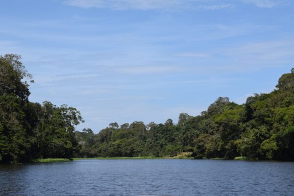 Jungle Adventure Tour [3 days and 2 nights ]