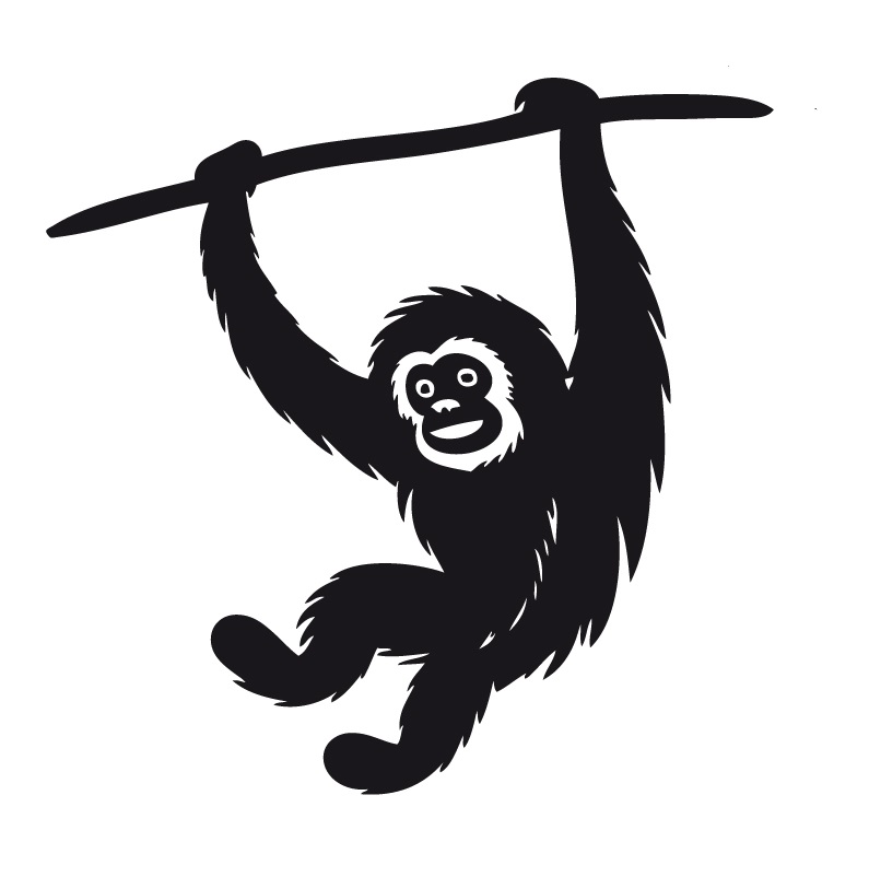 Gibbon Encounters