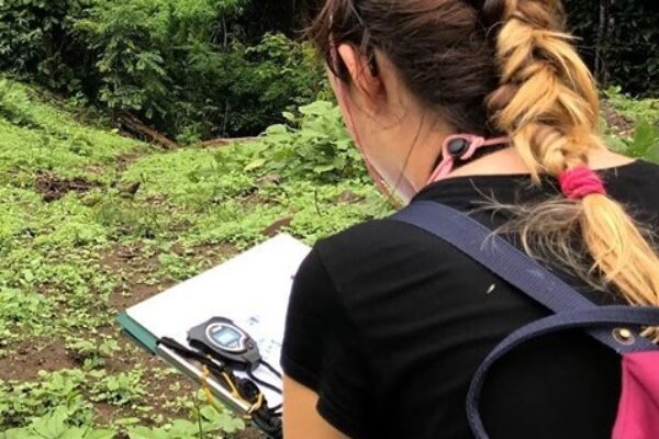 3 day Wild Gibbon and Cultural Adventure
