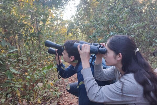 2 Day Gibbon, Wildlife and Cultural Adventure
