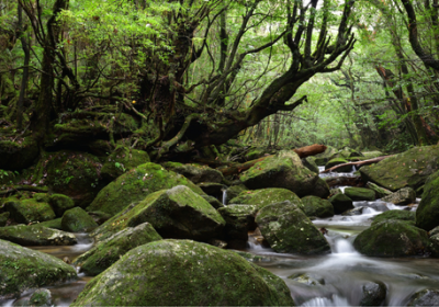 Top 5 Eco-Friendly Destinations You Must Visit in 2026