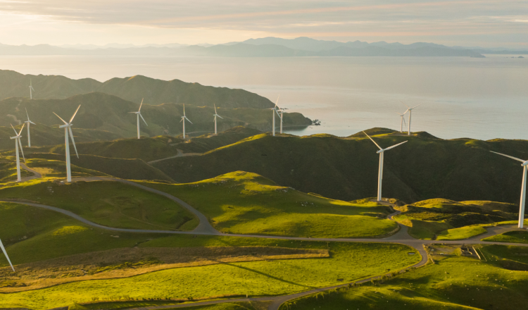 Sustainability